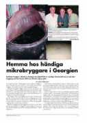 georgia.se Romlis