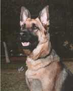 Rommel