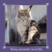Romy