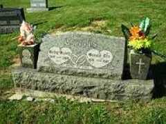 rootsweb.ancestry.com Ronaldlee