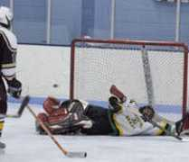 lamar.colostate.edu Ronkoski