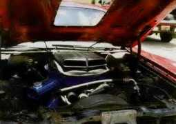 mustangsandmore.com Ronniet
