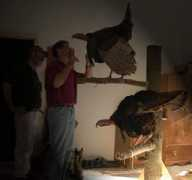 masoncreektaxidermy.com Ronnys