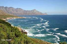 Rooi