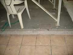 Roover