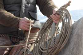muletrainer.com Ropes