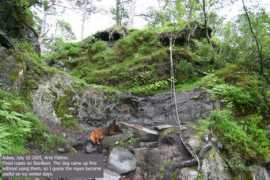 westcoastpeaks.com Ropesh