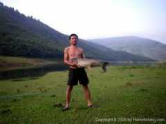 hanoifishing.com Rophi