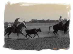 markgomesks.tripod.com Roping