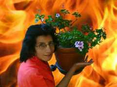 terapiahoma.com Rosael