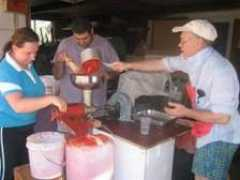 sanmarcoargentano.it Rosalbina