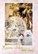 samoyeds.dk Rosanka