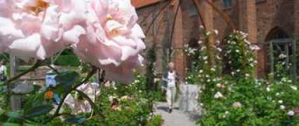 visitystadosterlen.se Rosarie