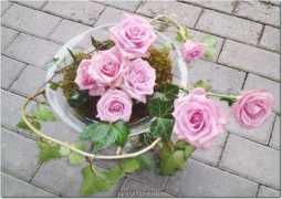 justliss.com Rosarose