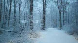 grcentral.wzzm13.com Rosealine
