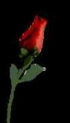 willyourememberme.com Roseani