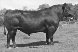 agonline.com Roseda