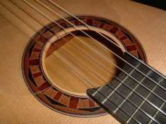 sandersguitar.com Rosef