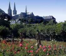 Roseng