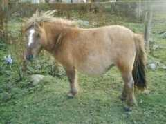 Roseny