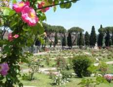 italyheaven.co.uk Roseto