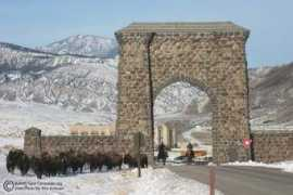 gallery.buffalofieldcampaign.org Rosevelt