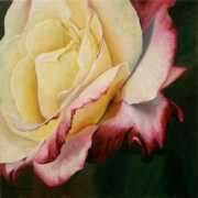Rosez