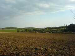 Rosice