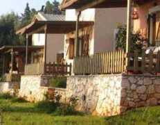 gdenamore.com Rosoli