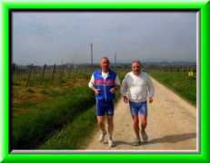 3province.net Rossino