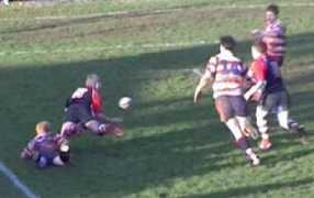 rugbylions.net Rossly