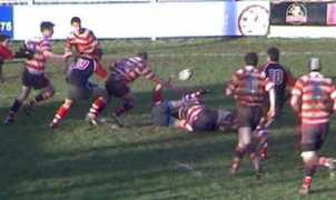 rugbylions.net Rossly