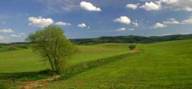 nature.hyperlink.cz Rostina