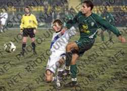 photo.unian.net Rotal