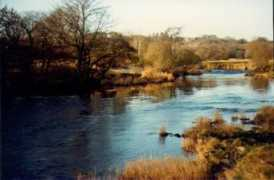 riverannan.co.uk Rotchell