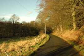 geograph.org.uk Rothie