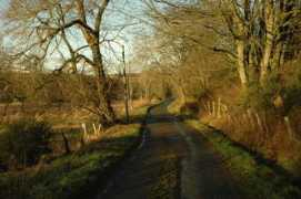 geograph.org.uk Rothie
