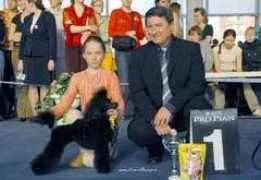 eurodogshows.com Rotner