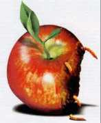 Rottenapple