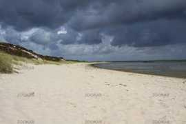 Rottke