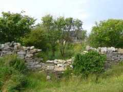 Rousay