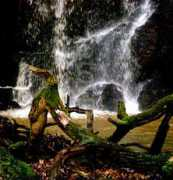 fotolibra.com Routin