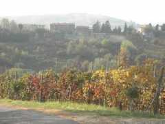 panoramio.com Rovati