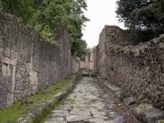 Rovine