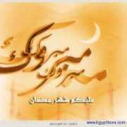 egyptsons.com Rowais