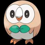 forum.fok.nl Rowlet