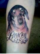 Roxey