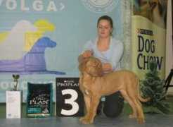 avant-roux.ru Roxsana