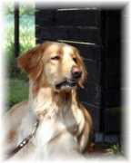 posifitze.de Roxsana