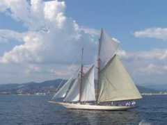 matt.my.tripper-tips.com Royales